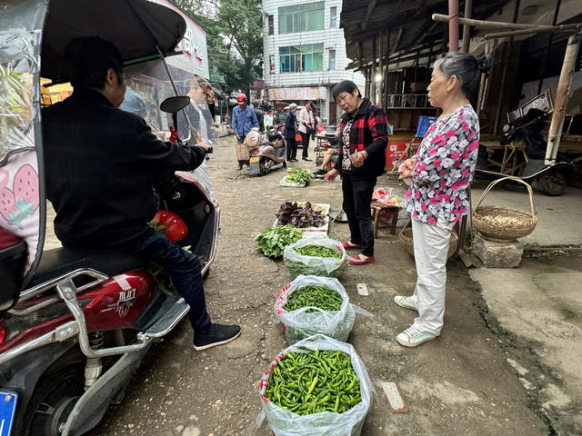 热闹的樟树港辣椒早市，交易量大，价格不错