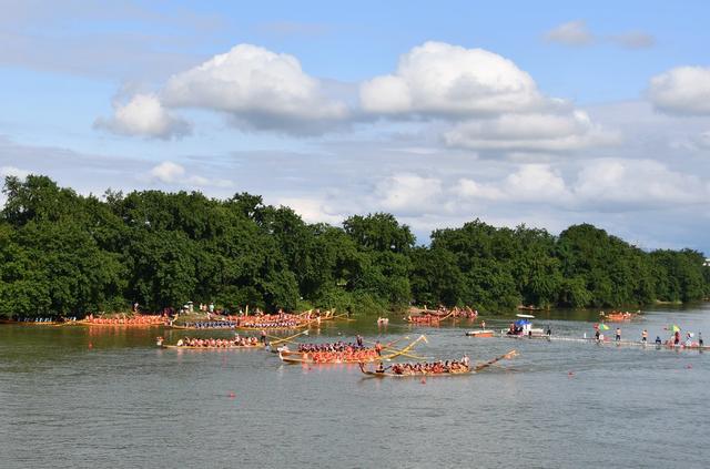 龙舟竞渡迎端午