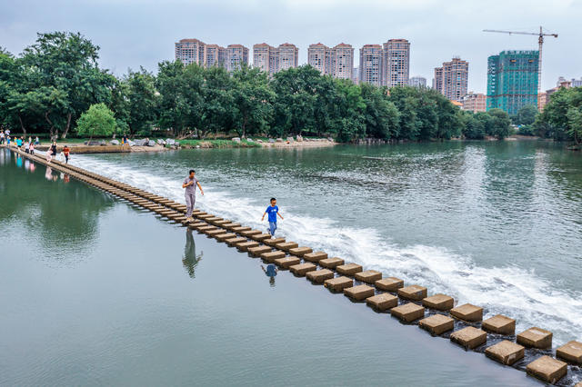 湿地美景  休闲