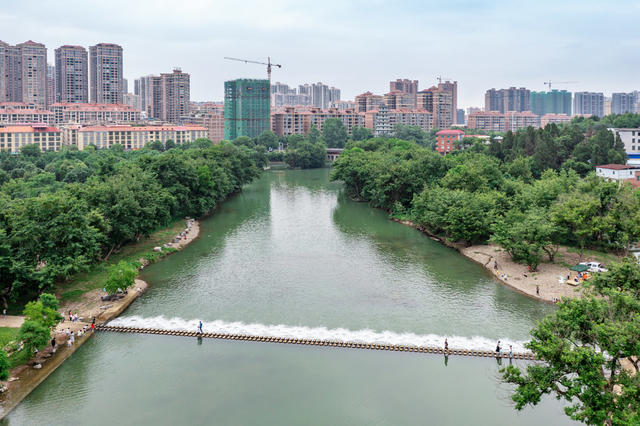 湿地美景  休闲
