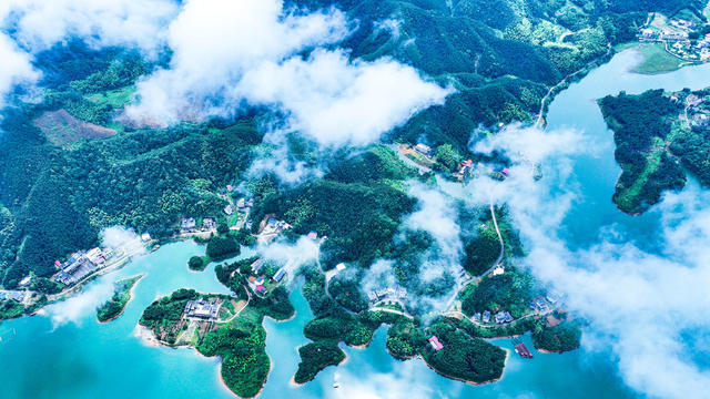 湿地公园、生态、美丽乡村