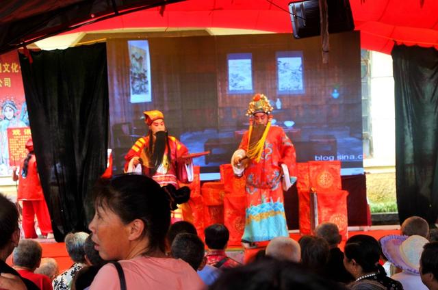 市民 端午 节目  表演  渐浓