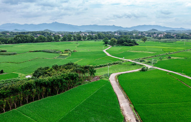美丽乡村 