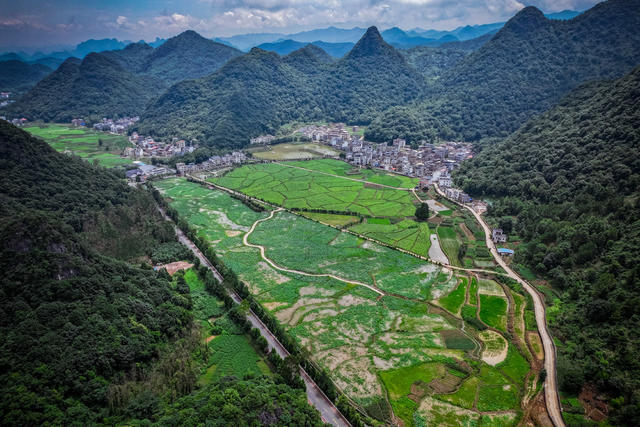 夏至 荷花 九嶷山