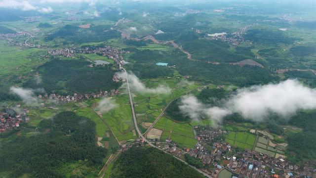 田野之美