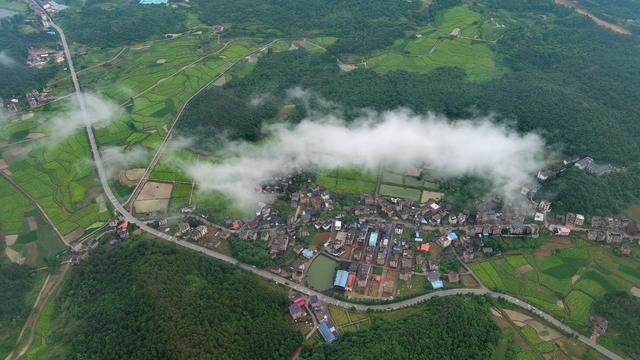 田野之美