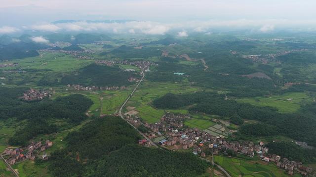 田野之美