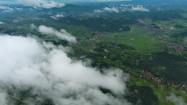 田野之美
