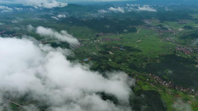 田野之美
