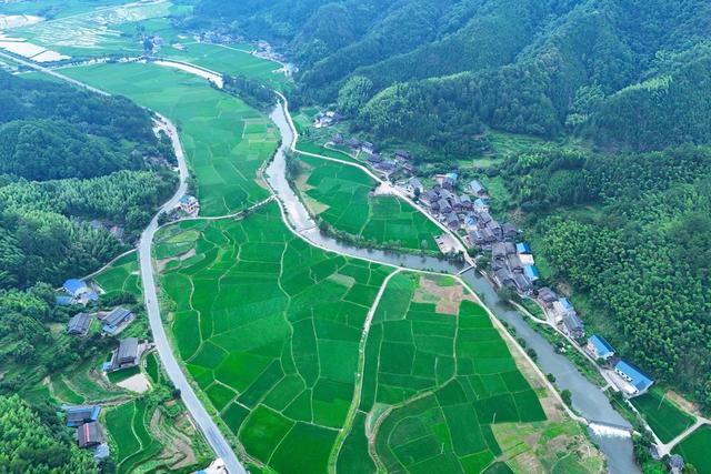 粮食、农业、耕地、产粮基地、粮食安全