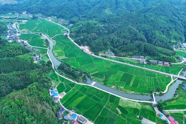 粮食、农业、耕地、产粮基地、粮食安全