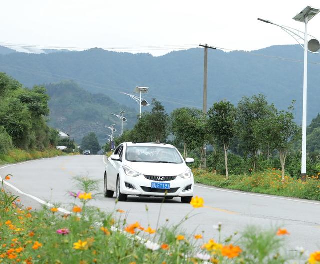 乡村公路美景如画