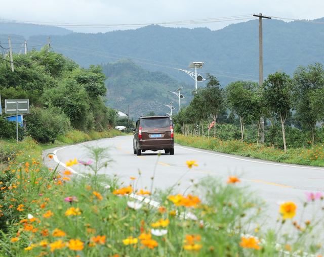 乡村公路美景如画
