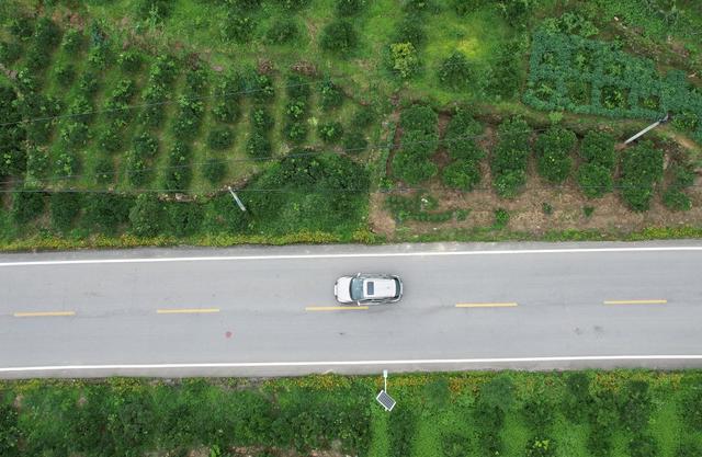 乡村公路美景如画