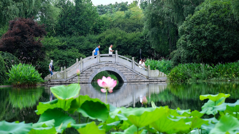 游览，橘子洲