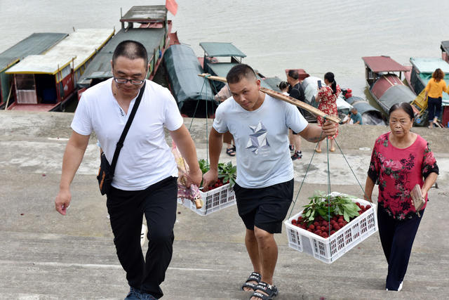 节会搭台 杨梅畅销
