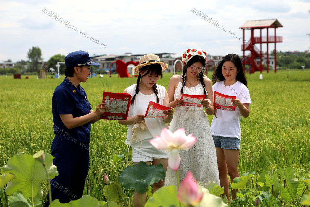 消防 安全 荷花 宣传