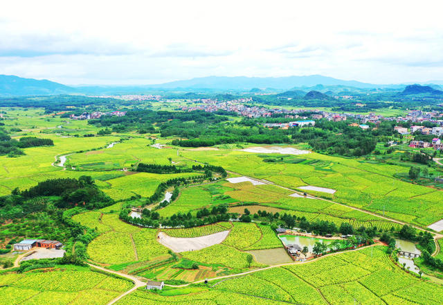 蓝山：夏日乡村美