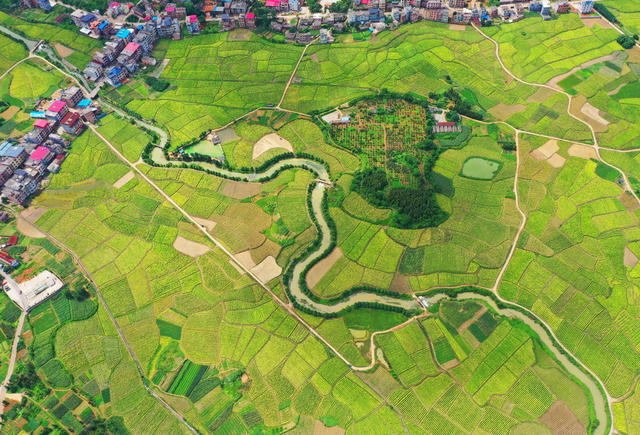 蓝山：夏日乡村美