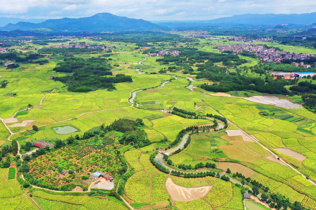 蓝山：夏日乡村美