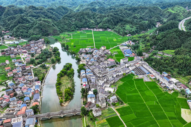 生态 乡村 稻田 田园 绿 生机 活力 