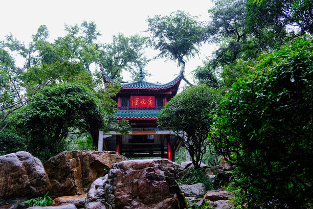 雨中，游览，爱晚亭，岳麓书院