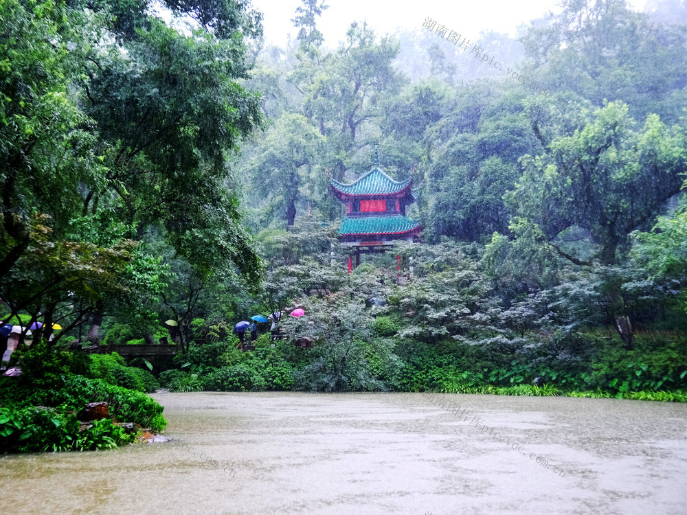 雨中，游览，爱晚亭，岳麓书院