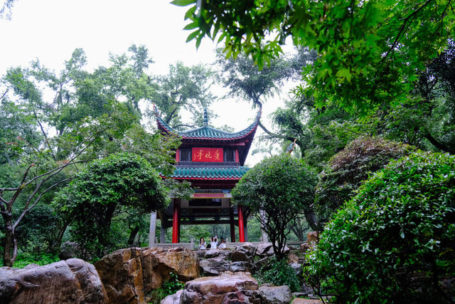 雨中，游览，爱晚亭，岳麓书院