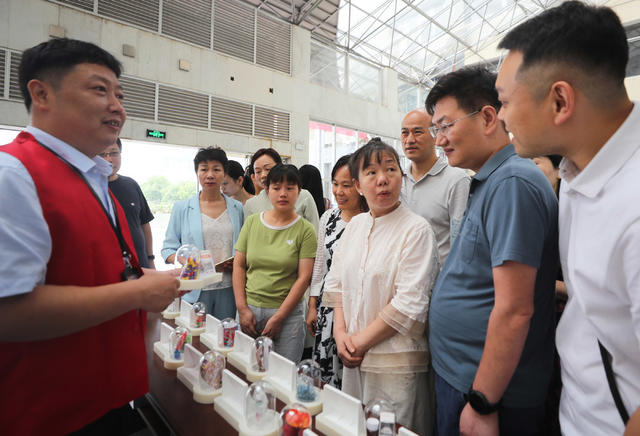 禁毒 宣传 国际禁毒日 大学生