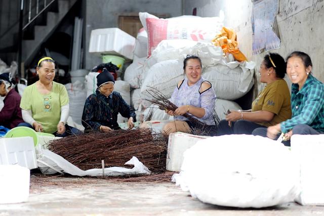 劳动、就业、民生、就业困难群体、帮扶