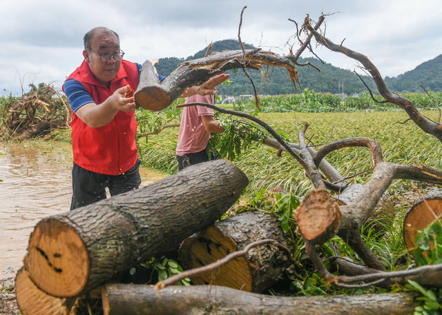 抗灾
洪水
灾后
道县