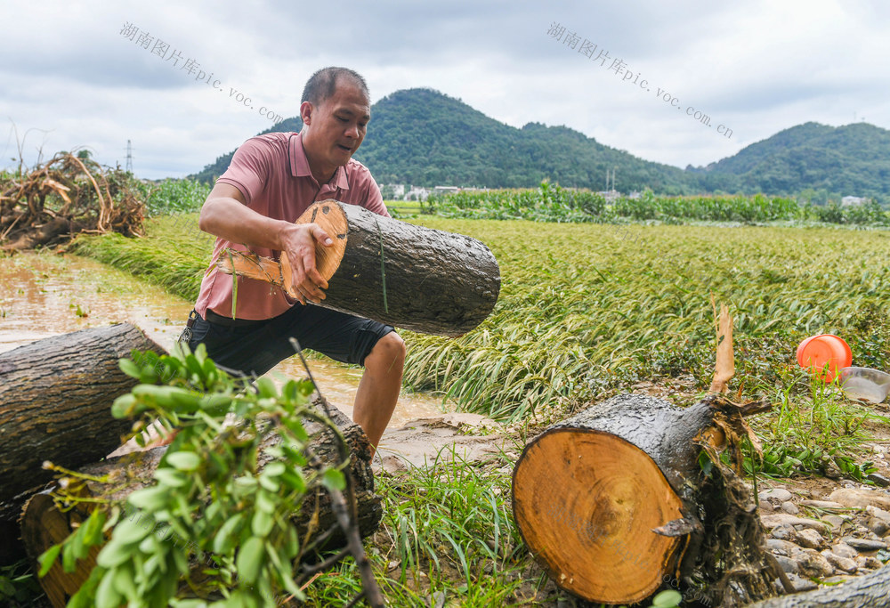 抗灾
洪水
灾后
道县