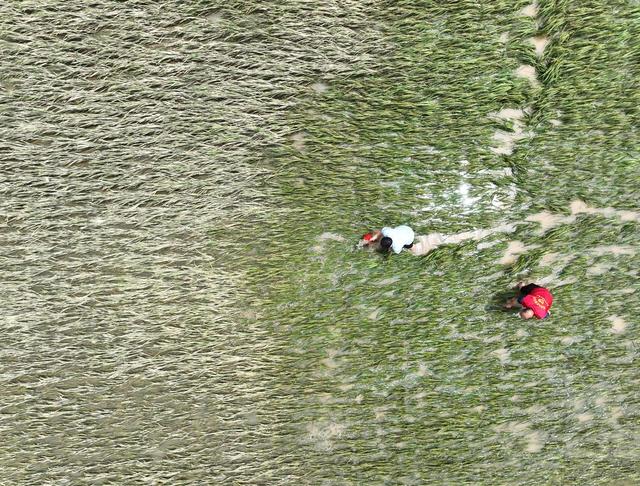 抗灾
洪水
灾后
道县