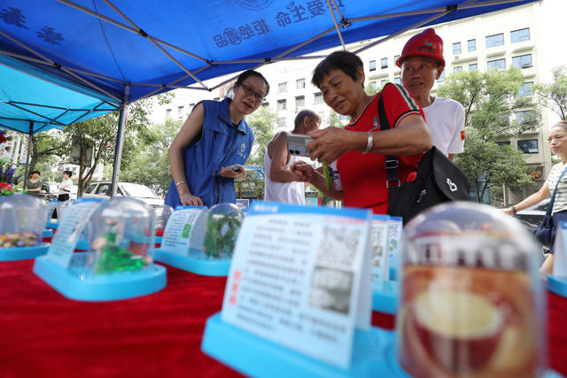 国际禁毒日 禁毒宣传活动 识毒防毒拒毒 远离毒品 珍爱生命