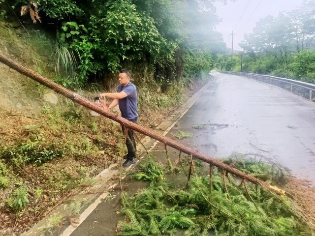 通道  播阳  降雨  除险