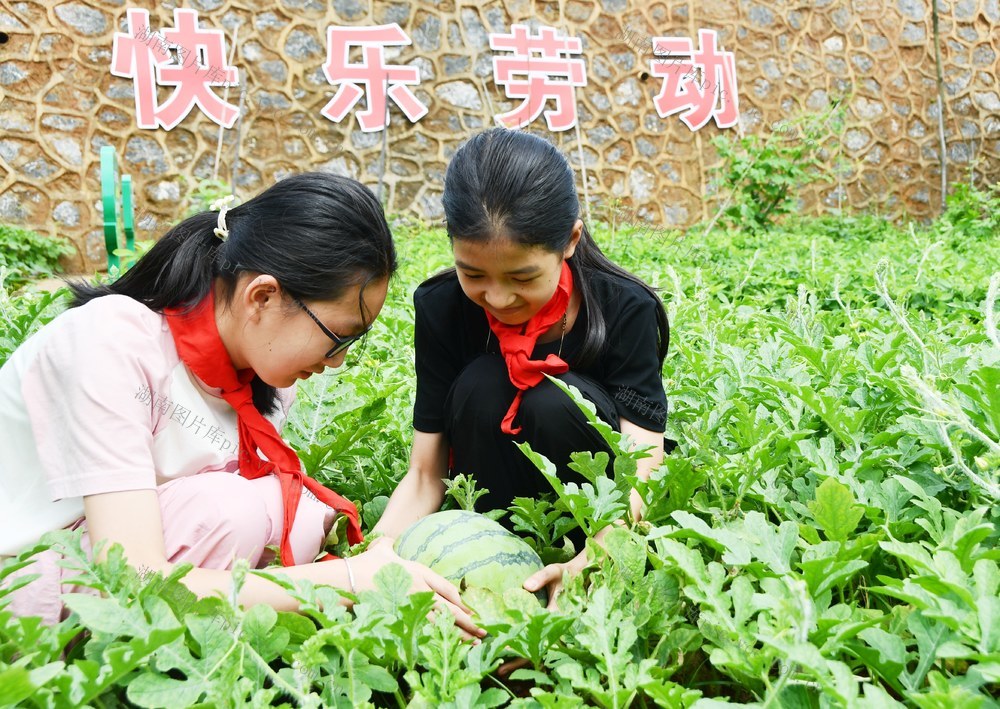 劳动采摘快乐多