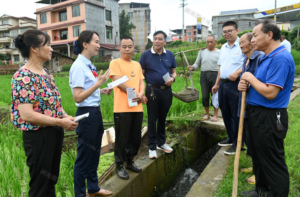 金融  金融知识  乡村 金融知识下乡 银行 宣讲  防范金融风险  群众 农村