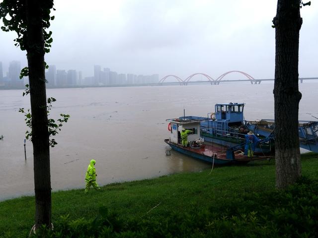 清理，漂浮物，北辰三角洲，新河街道