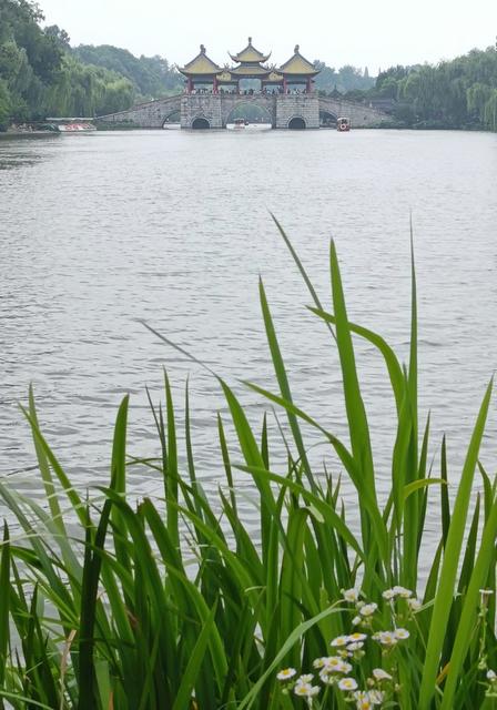 瘦西湖  扬州  夏天  风  白塔  桥  水乡