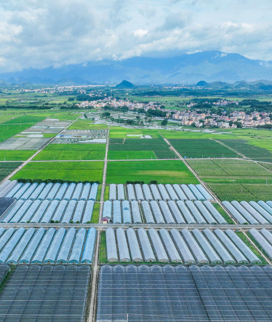 蔬菜
道县
田园
