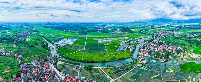 蔬菜
道县
田园