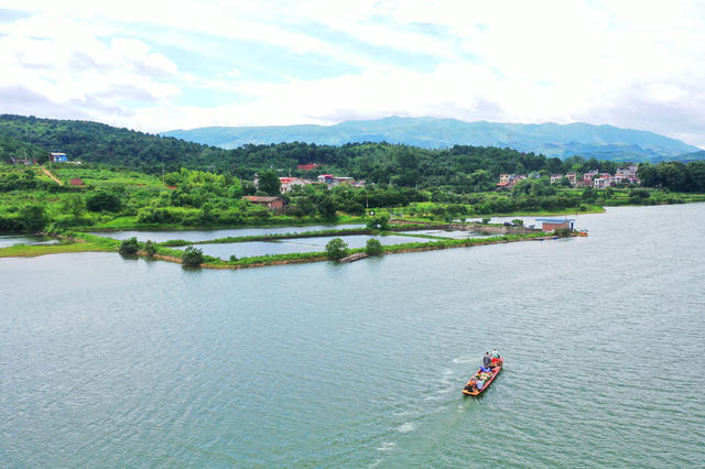 嘉禾：生态养殖助增收