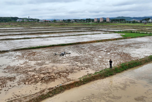 示范基地飞播忙