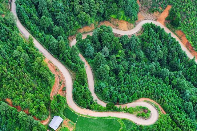农村公路、交通、村组路、致富、出行