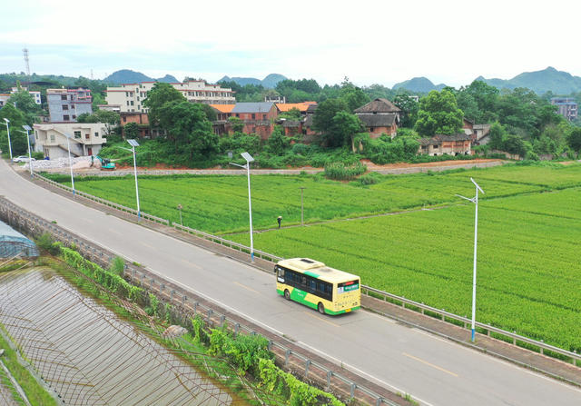 嘉禾：绿色公交惠民众