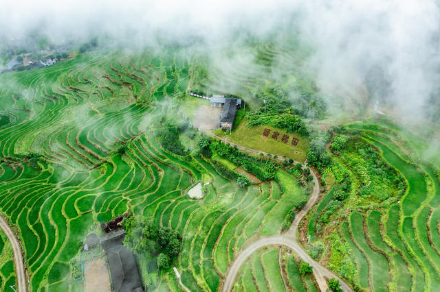 塘家梯田  农旅融合  美丽经济 