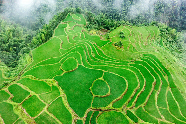 塘家梯田  农旅融合  美丽经济 