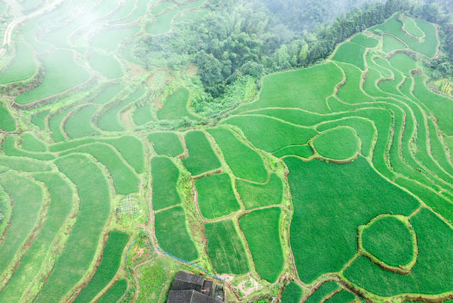 塘家梯田  农旅融合  美丽经济 