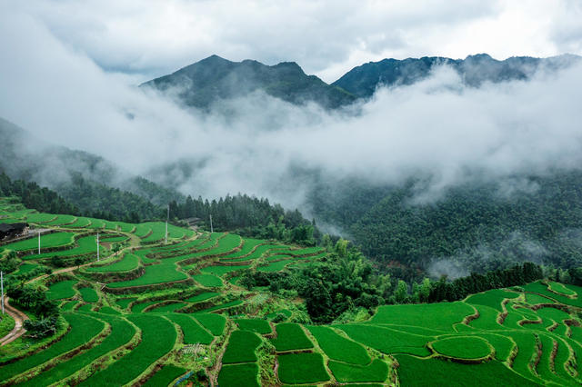 塘家梯田  农旅融合  美丽经济 