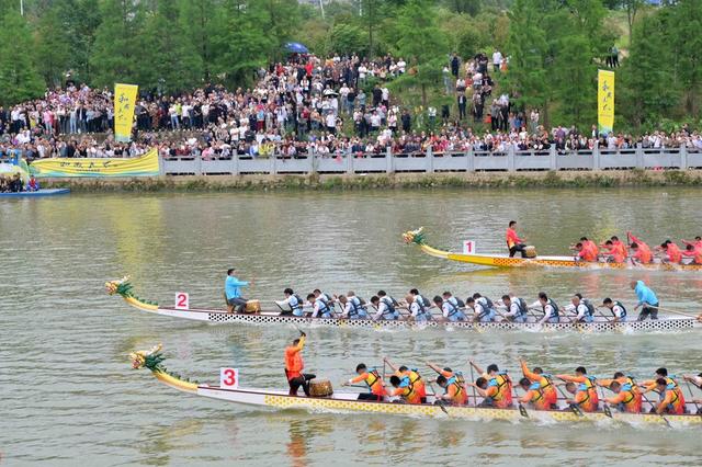 传统  端午  节日  龙舟  竞赛